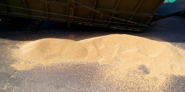 У Апелляционного суда Николаевской области просыпали пшеницу