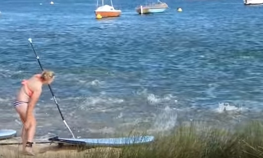 У берегов Австралии голодные лососи выгнали из воды людей