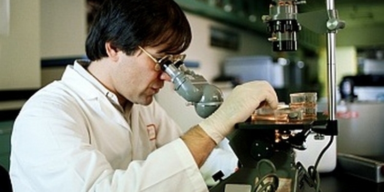 Новый министр образования и науки Гриневич недовольна, что финансирование отрасли составляет всего 5,2% ВВП