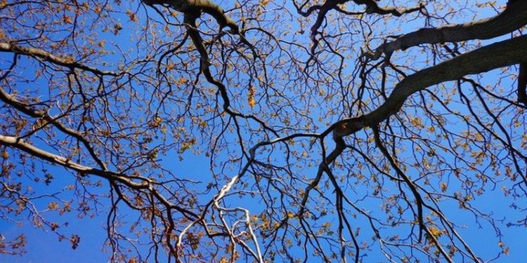 Синоптики обещают по-летнему теплые выходные по всей территории Украины