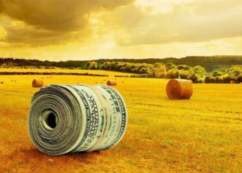 По рентабельности подсолнечнику  нет конкурентов в сельском хозяйстве Николаевской области