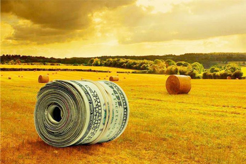 С четверти сельхозземель в Украине не платятся налоги — Мирошниченко 1