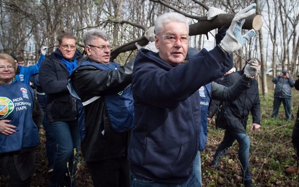 Какие вожди, такие и бревна. Мэр Москвы удивил фото с “бревном”