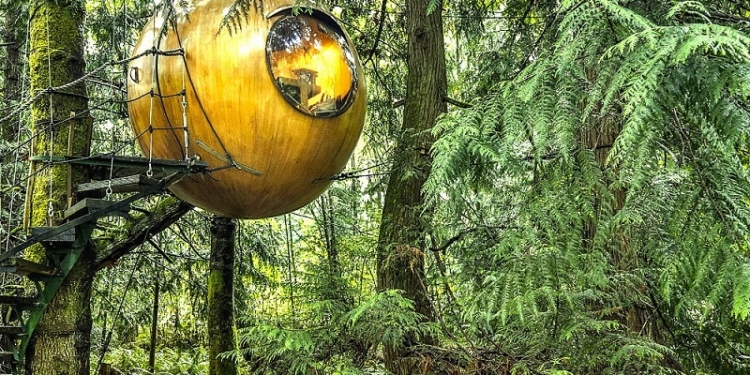 Скворечники для людей. Лучшие дома на деревьях выглядят так