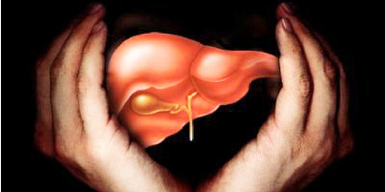 Общественные организации и медики призывают депутатов Николаевщины заложить в бюджете средства на лечение гепатита С