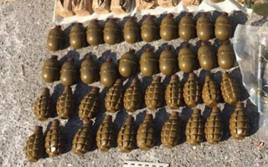 В лесополосе на окраине Днепра нашли почти 300 гранат 1