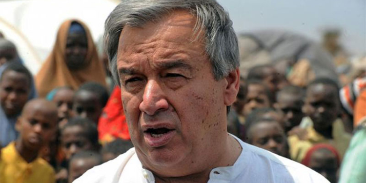 Кто станет новым главой ООН: восемь основных кандидатов на пост генерального секретаря