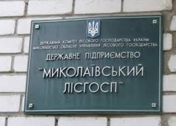 Николаевский лесхоз может прекратить работу