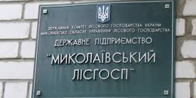 Николаевский лесхоз может прекратить работу