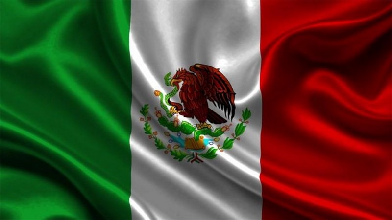 Потасовки между учителями и полицией в Мексике: три человека погибло, 45 ранено 1