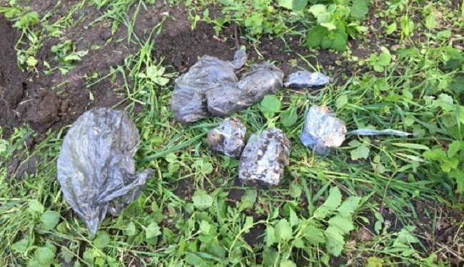 В Одессе в парке обнаружили взрывчатку и боеприпасы