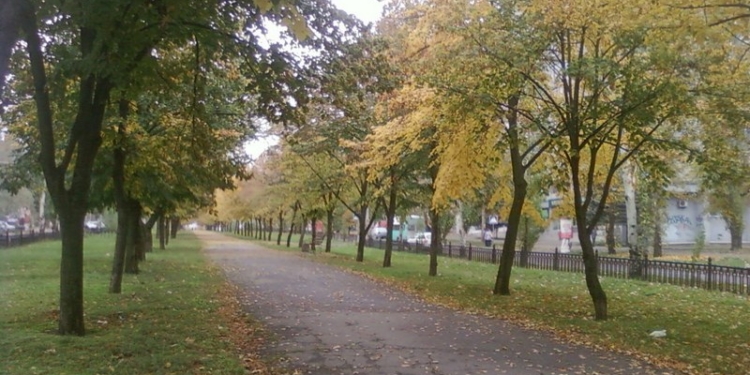 Очаковская фирма получит 2,8 млн.грн. за содержание бульварных частей основных магистральных улиц Николаева