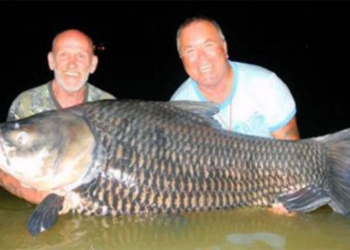 Британские пенсионеры поймали гигантского карпа на наживку, сделанную из праха покойного друга