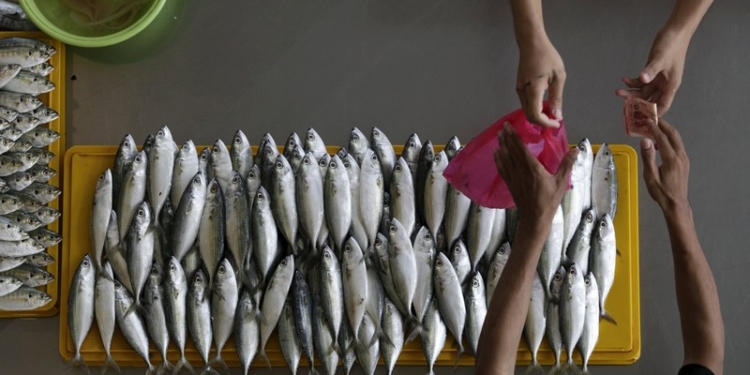 Для запуска рыбного патруля по всей Украине нужно 200 млн.грн.