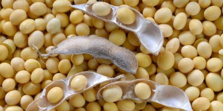 Полиция совместно с ВОХРом станции «Николаев» задержали мужчин, «разгружавших» вагон с соей