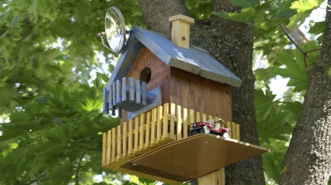 Скворечных дел мастер. Запорожец удивил мир уникальными скворечниками