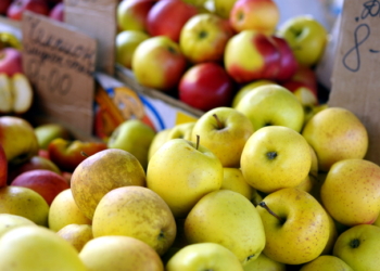 В Туле раздавили 22 тонны украинских яблок