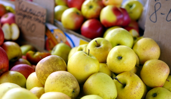 В Туле раздавили 22 тонны украинских яблок