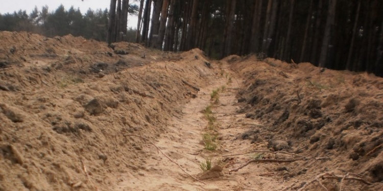 Чтобы росли новые леса вокруг Николаева: в марте лесоводы и неравнодушные граждане залеснили 51 га