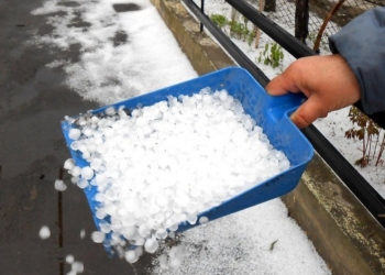 Непогода «погуляла»: в Вознесенске град побил виноград и рассаду