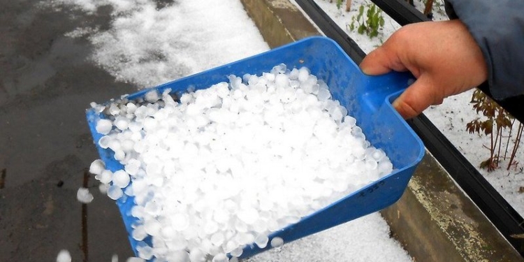 Непогода «погуляла»: в Вознесенске град побил виноград и рассаду