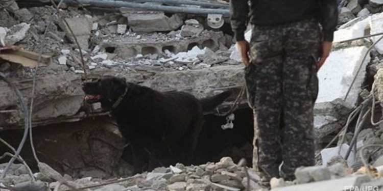 В Эквадоре произошло еще одно мощное землетрясение