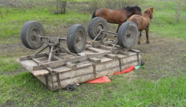 В Житомирской области перевернулась гужевая повозка: 3 погибших, 1 ранен