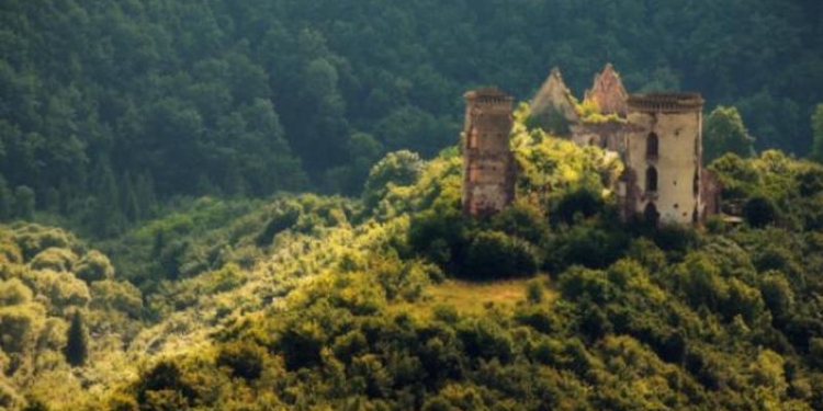 Польша инвестирует $10 млн. в реконструкцию замка в Украине