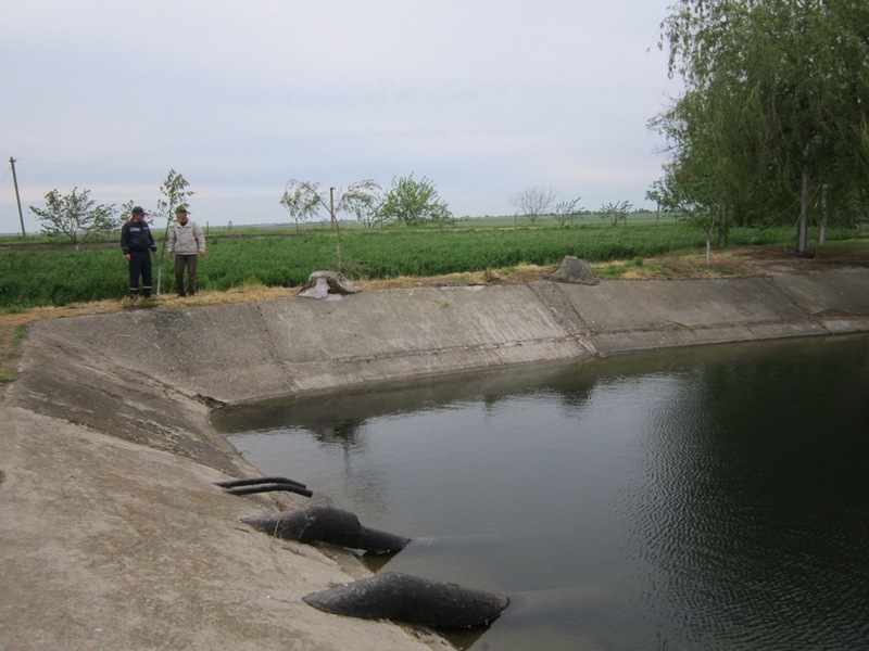 Девочка на местном водоеме