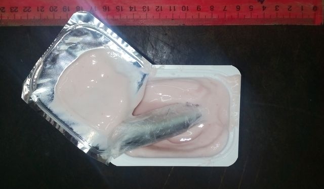 Вот такая «Маша и медведь»: в Николаевской СИЗО пытались передать наркотики в клубничном йогурте