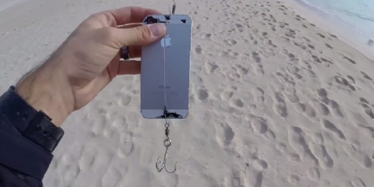Рыбак поймал лосося на iPhone