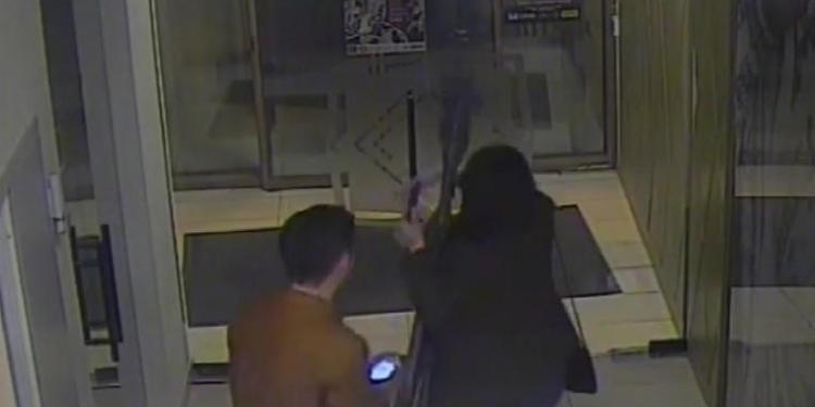 Львовянка с украденным полутораметровым жирафом сбежала на такси