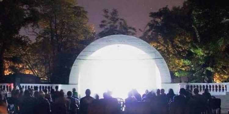 Кина не будет: в ДОФе в Николаеве спилили акации