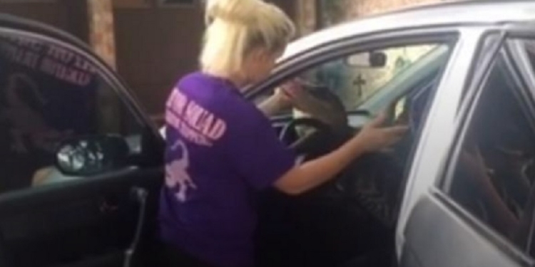 В США аллигатор сел за руль автомобиля