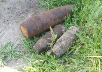 Искал грибы – нашел снаряды: в Николаевской области обнаружили очередные взрывоопасные предметы