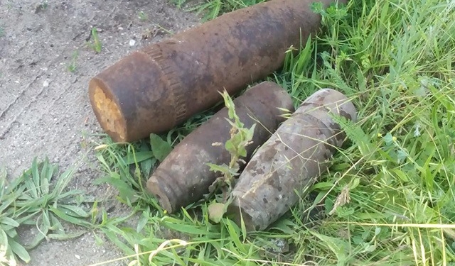 Искал грибы – нашел снаряды: в Николаевской области обнаружили очередные взрывоопасные предметы