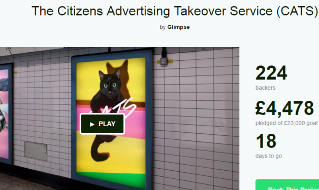 Рекламу в метро Лондона хотят заменить фотографиями котов