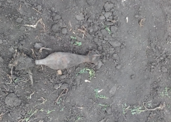 В Кривоозерском районе на огороде нашли минометную мину