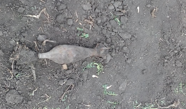 В Кривоозерском районе на огороде нашли минометную мину