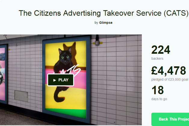 Рекламу в метро Лондона хотят заменить фотографиями котов 1