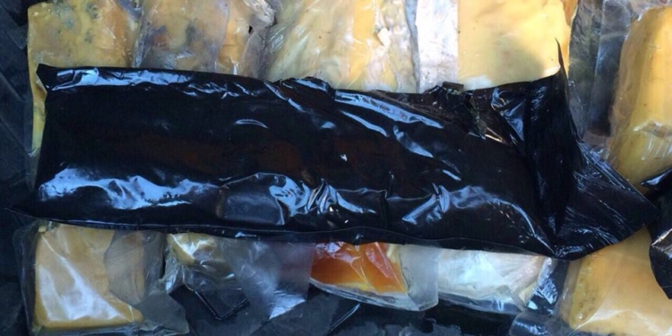 СБУ ликвидировала террористическую группу, которая должна была совершить взрывы на Херсонщине во время празднования Дня Победы