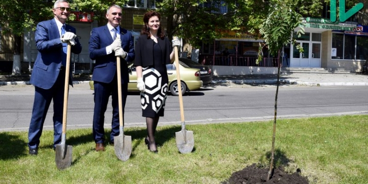 В сквере Совета Европы в Николаеве деревьев стало больше: постарались мэр, консулы Словакии и Румынии и журналисты