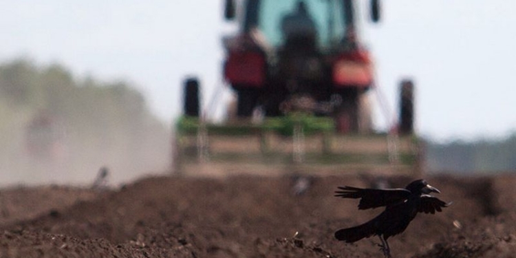 В Сибири создадут аналоги советских колхозов
