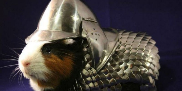 Самые странные вещи, когда-либо проданные на EBay