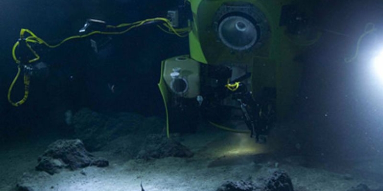 Океанологи показывают происходящее в самом глубоком месте Земли в режиме онлайн