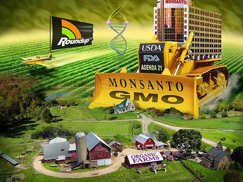 RoundUp-monsanto-800x600.jpg
