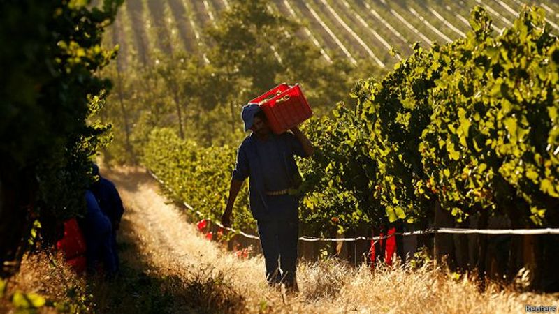 В ЮАР принят закон о принудительном выкупе земли у белых фермеров 1