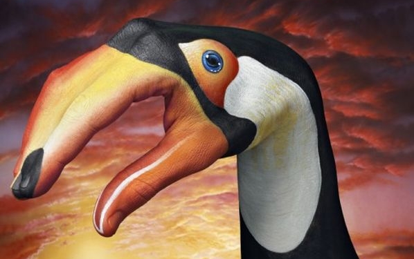 “Ручные” животные. Невероятный боди-арт на руках!