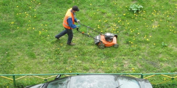 “Николаевзеленхоз” накосит травы в Корабельном районе на 230 тыс.грн.
