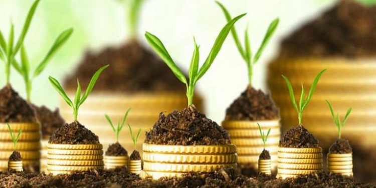 Иностранные инвестиции в Украину выросли на 17,7% в январе-марте